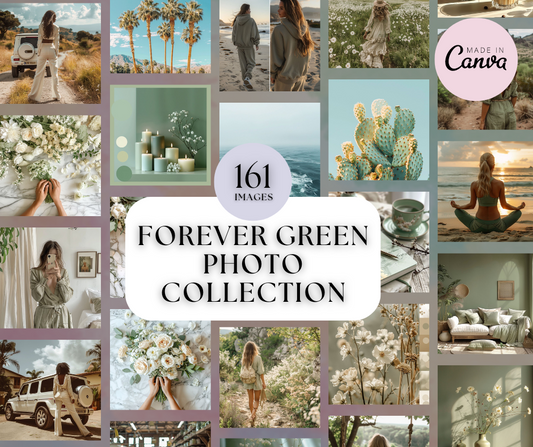 160 Forever Green Stock Images